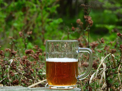 Tullibardine 1488 Whisky Beer