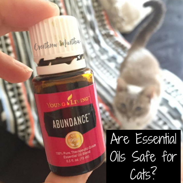 Les huiles essentielles sont-elles sans danger pour les chats?