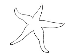 starfish draw drawing simple fish painting drawings steps doodle star outline easy drawcentral pencil step tattoo rock sketches central coral