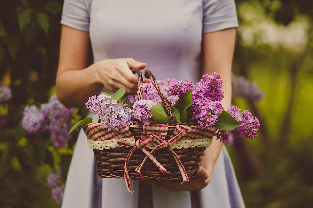 The Benefits of Having Woven Baskets in Your Home The Benefits of Having Woven Baskets in Your Home