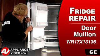 Ge Profile French Door Refrigerator Problems Professional