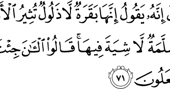 Quran Surat Al Baqarah Ayat 71 90 Dan Artinya