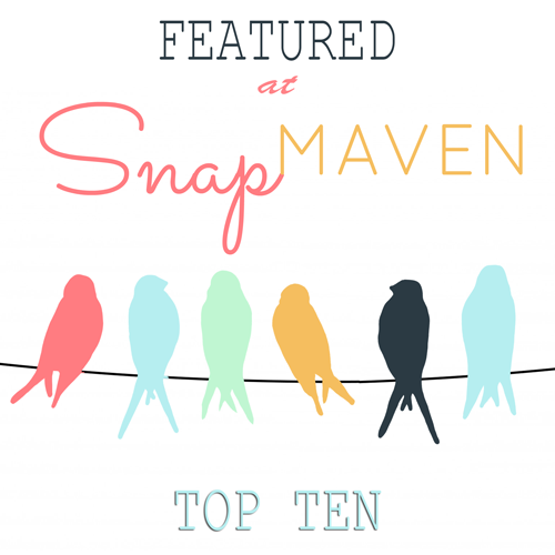 Featured on Snap Maven