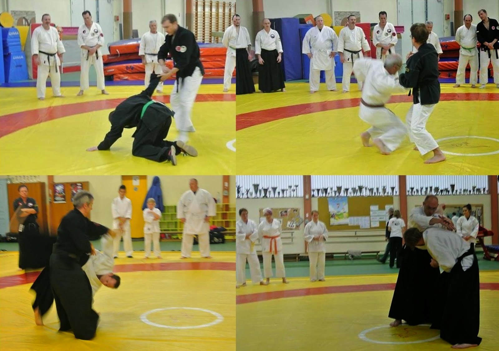 ARTS MARTIAUX YISEISHINDO MontceaulesMines Téléthon 2014 stage d