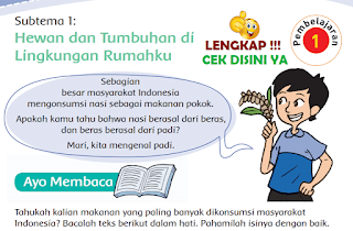 Subtema 1 Hewan dan Tumbuhan di Lingkungan Rumahku www.simplenews.me