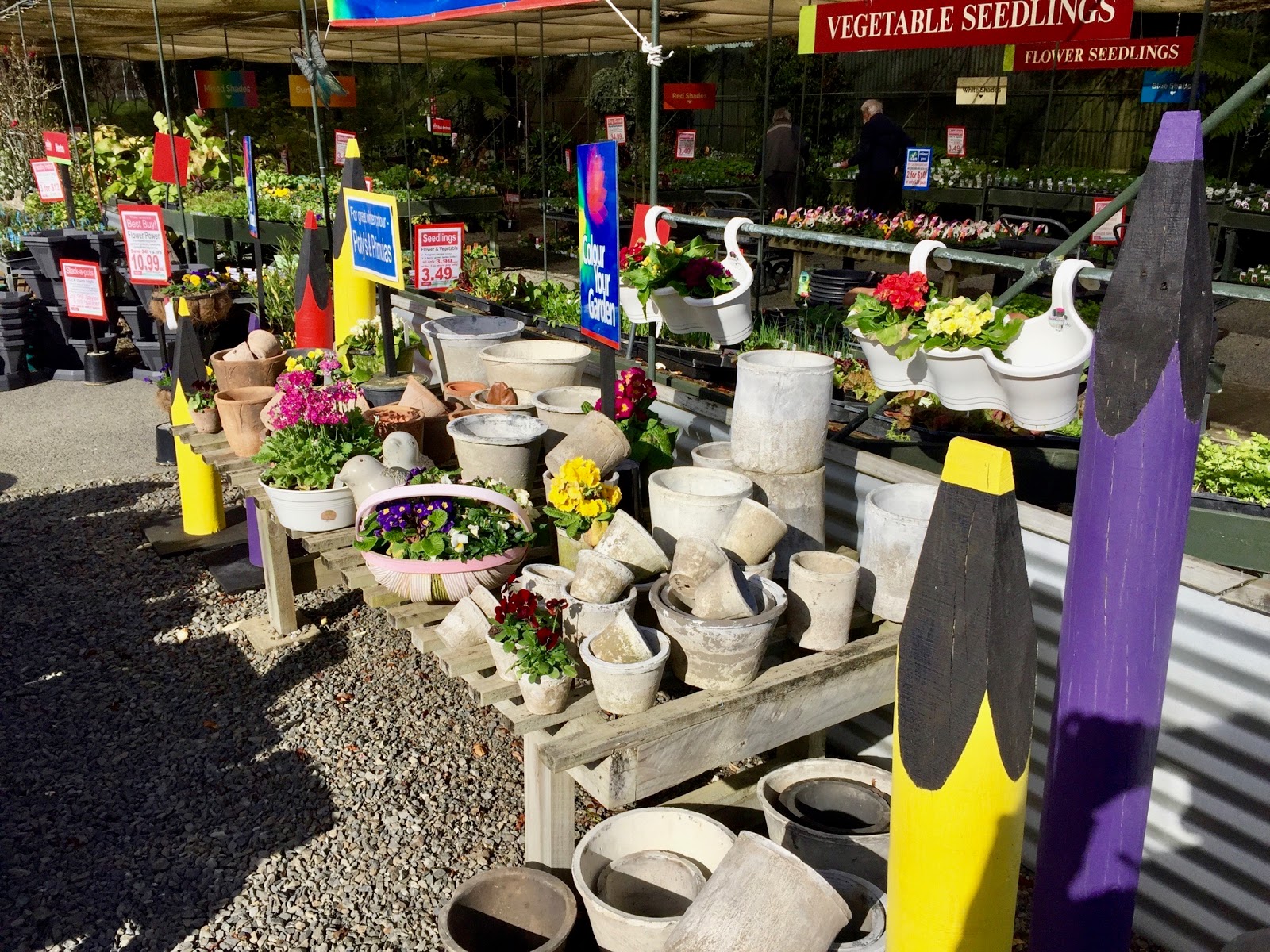 Dizzy's folding bike Waikanae to Peka Peka and an exhibition of