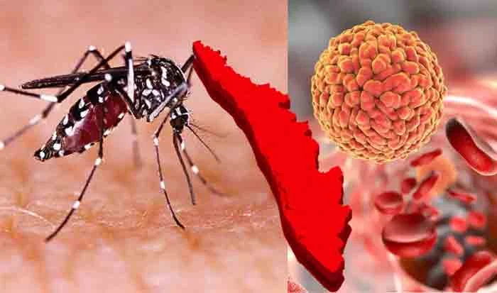 Zika virus has been confirmed in 3 more people in the state, Thiruvananthapuram, News, Health, Health and Fitness, Patient, Hospital, Treatment, Kerala