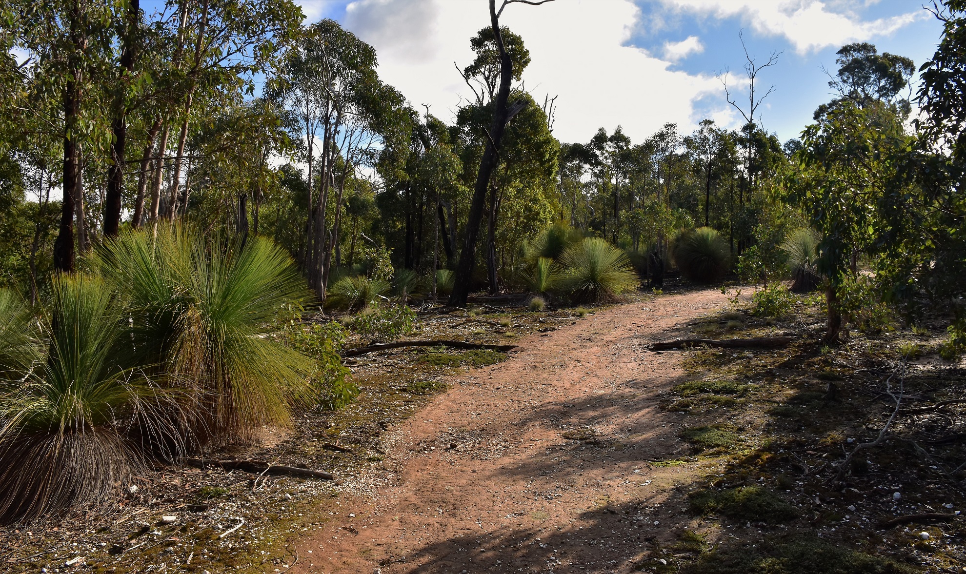Goin' Feral One Day At A Time Old Mill Camp to Boar Gully Camp