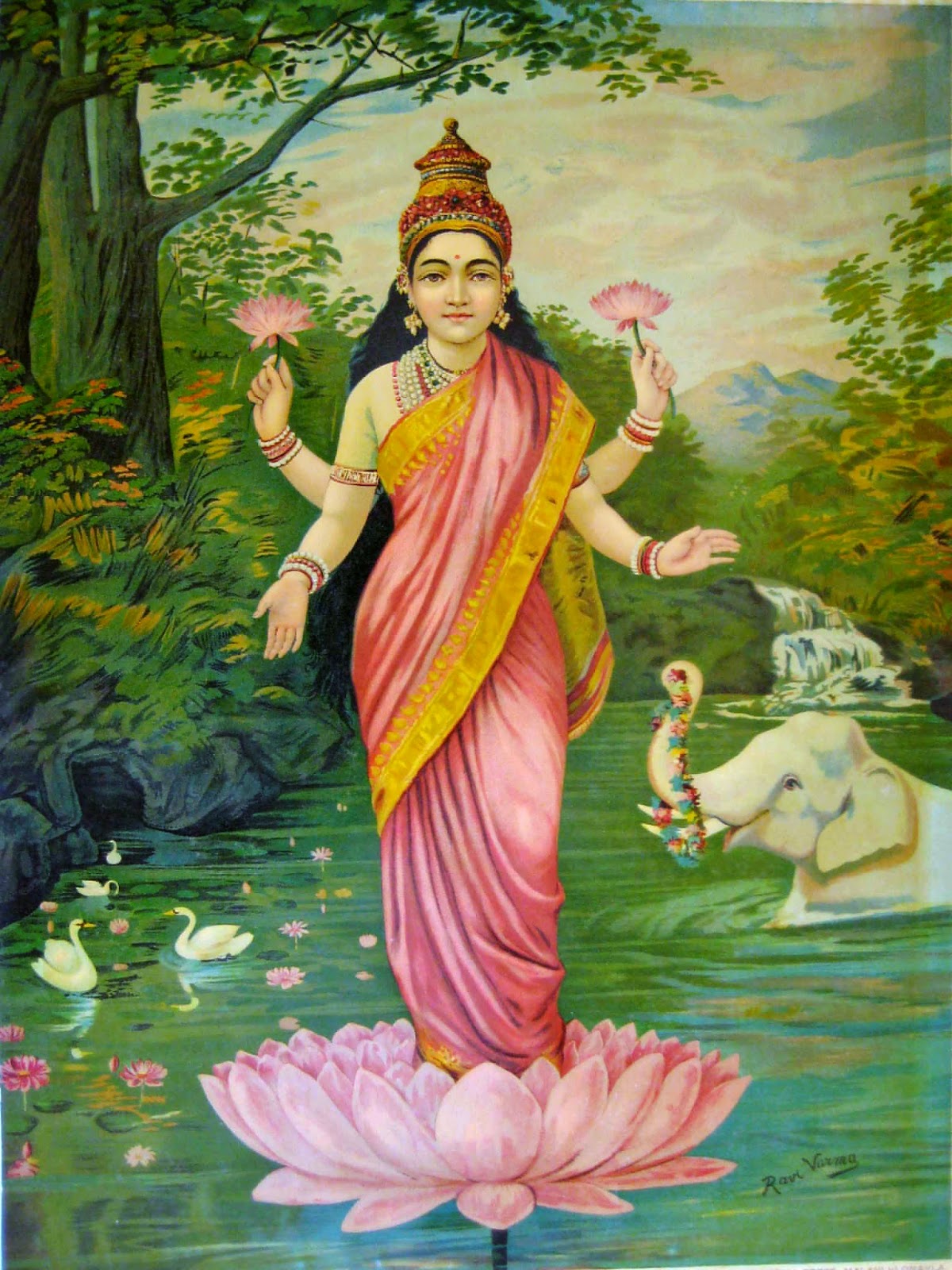 Delhi Magic Lotuses at the Chhatarpur Flower Market, Delhi