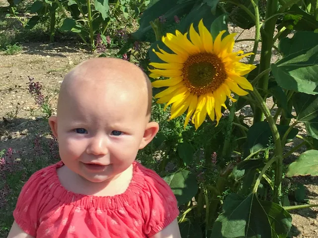 A baby sitting next to a sunflower