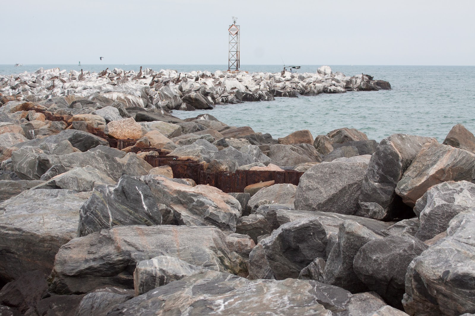 Picture This by Dorine Pederzani Jetty Park