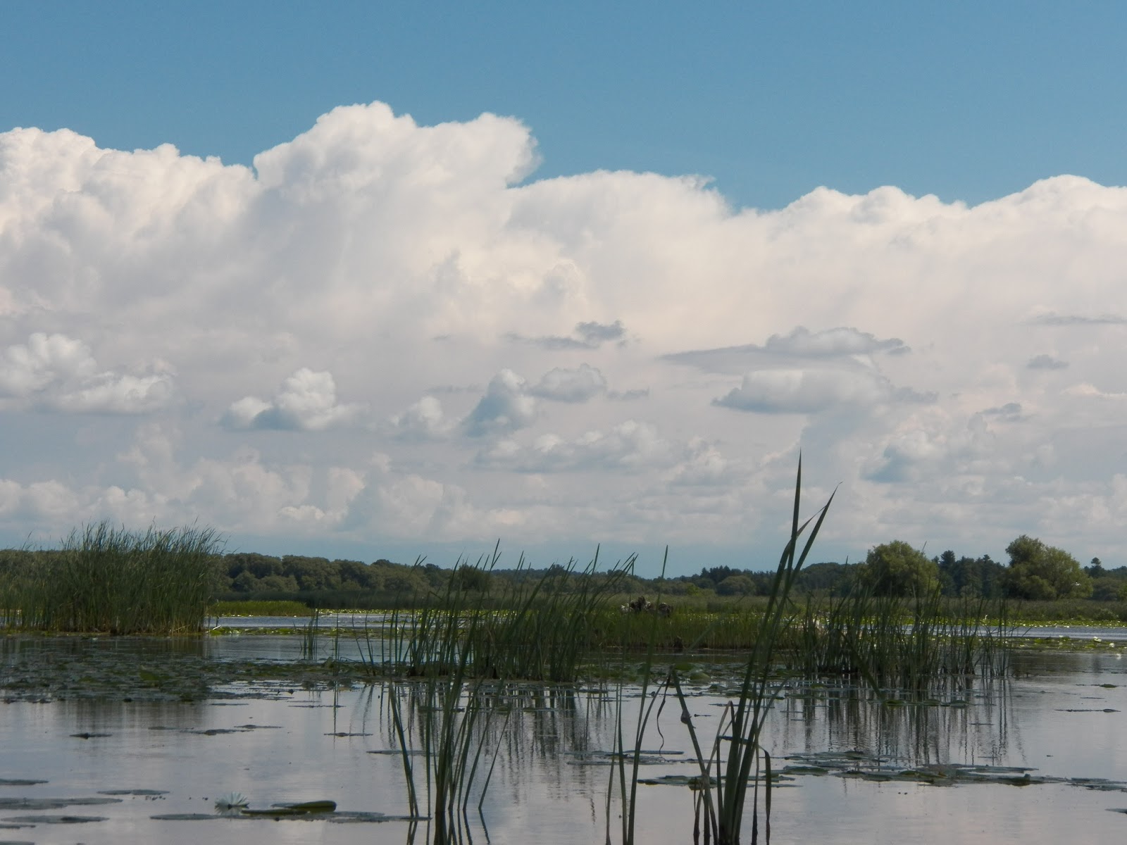 Quiet Kayaking in New York State Lakeview Wildlife Management Area
