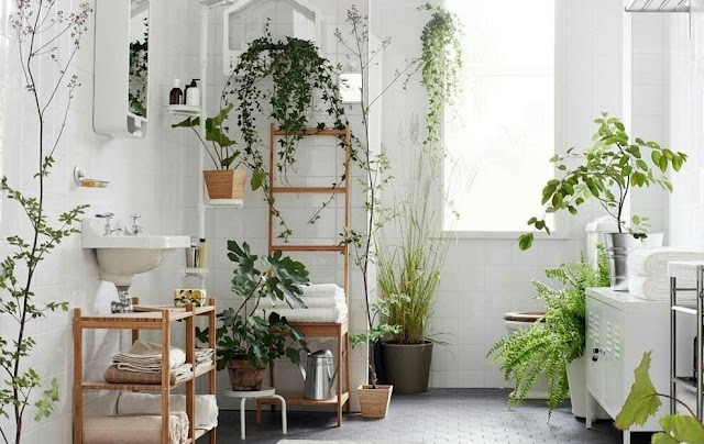 Small Garden Inspirations in the House