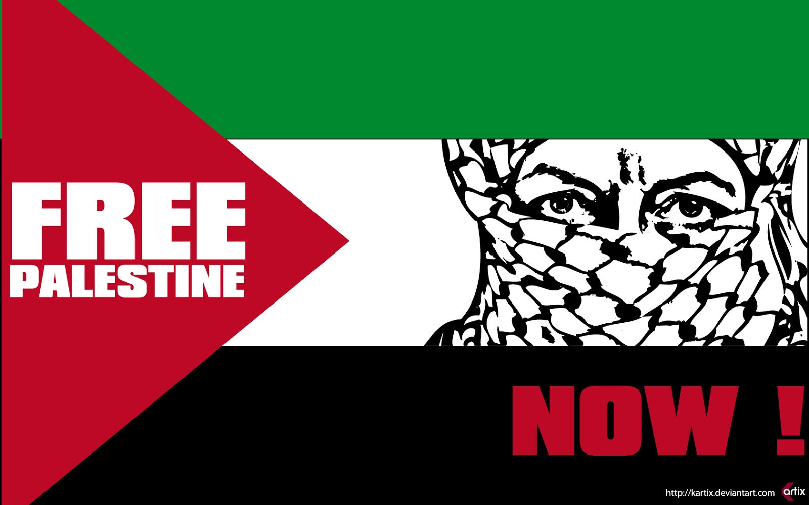 The Palestine Flag | The Palestine
