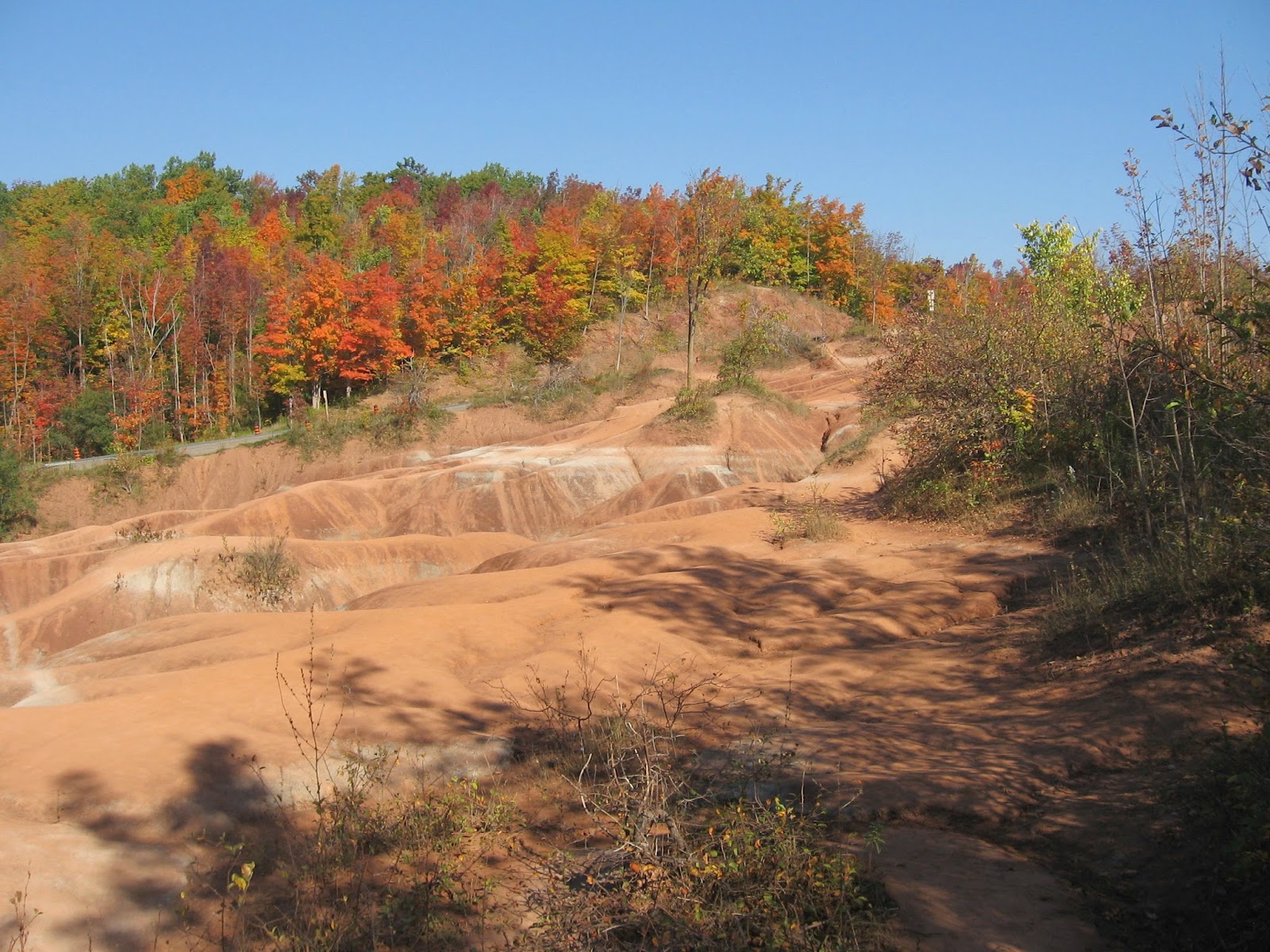Fibre Art by Mary Katherine Hopkins: Red Rocks in Cheltenham Ontario