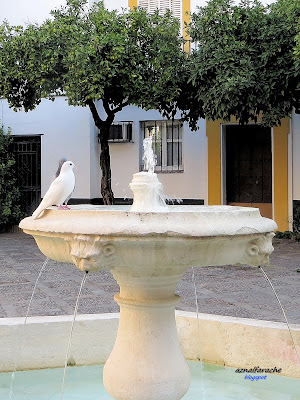 Sevilla eterna - Fuente en Plaza de la Alianza