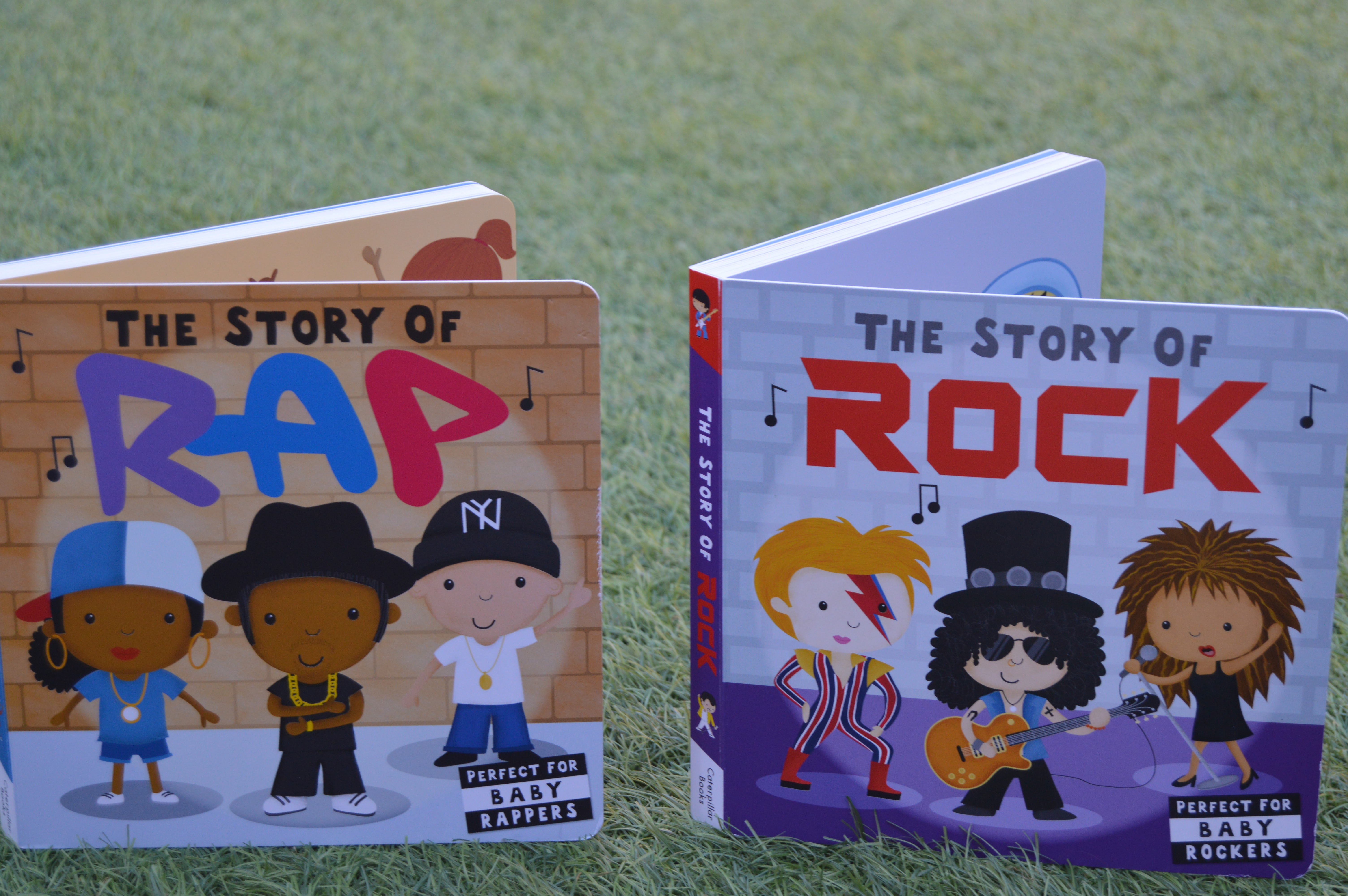 The story fo rock and rap books