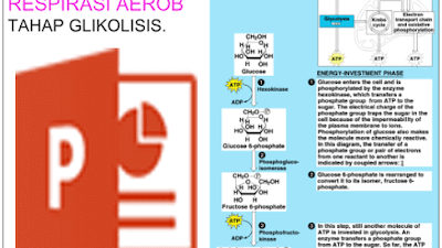 Unduh PPT Biologi SMA Sub Tema Metabolisme
