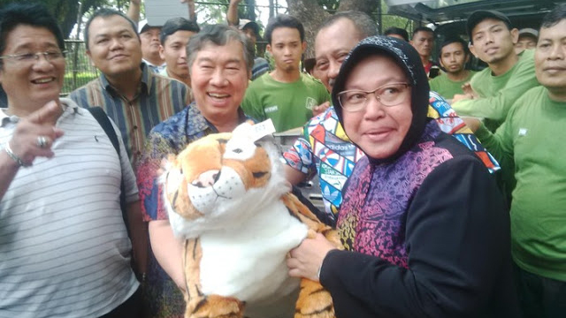 Wali Kota Risma: Pelanggar Aturan Virus Corona Dikurung di Kandang Harimau Wali Kota Risma: Pelanggar Aturan Virus Corona Dikurung di Kandang Harimau