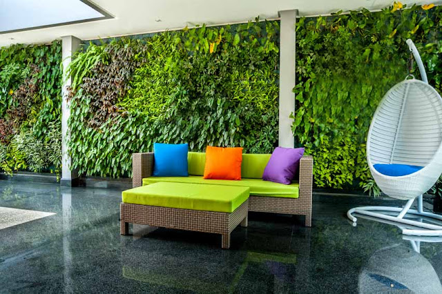 Indoor Green Wall