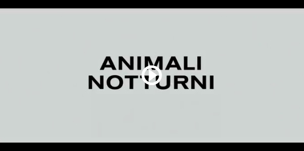 Animali Notturni – film di Tom Ford
