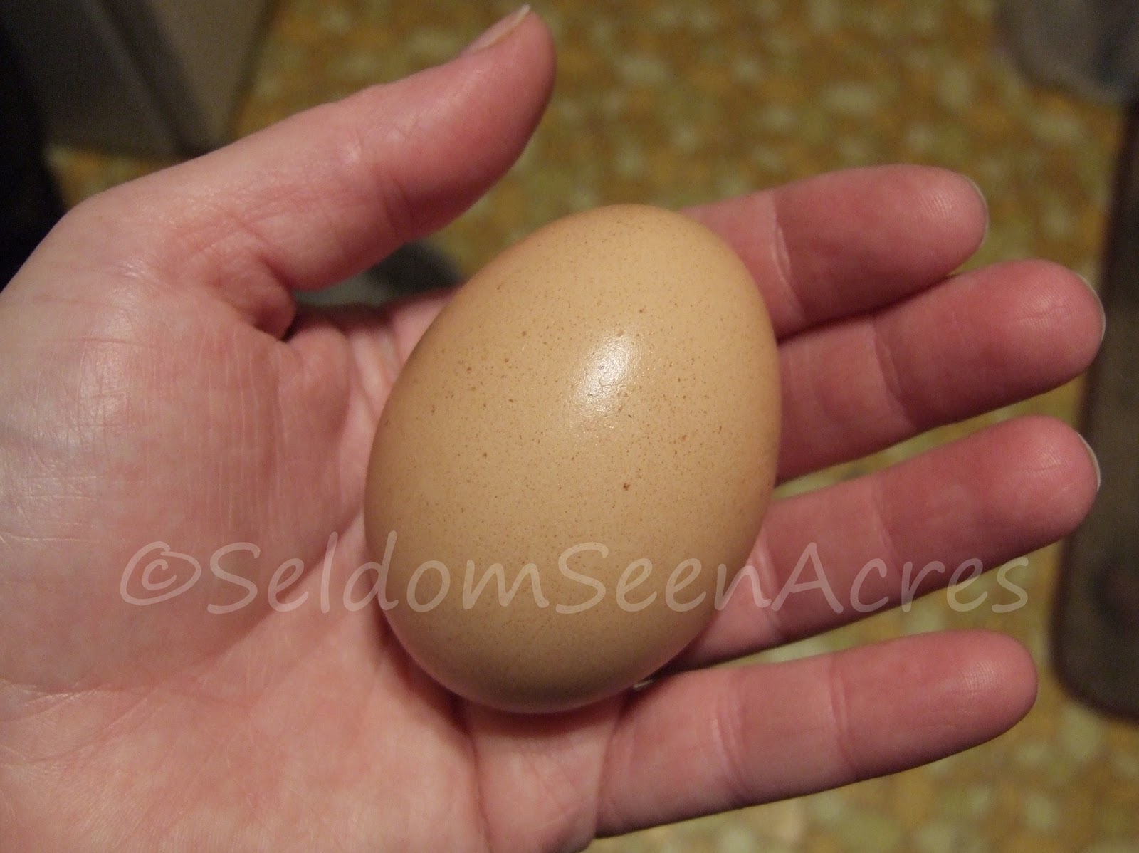 Seldom Seen Acres YAY!!!