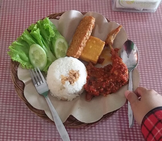 nasi ayam