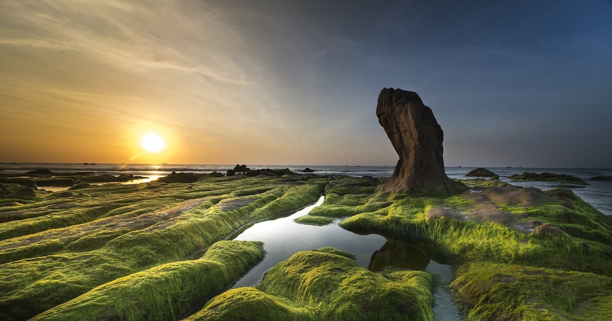 ECONOMIC IMPORTANCE OF ALGAE TO MAN, ANIMALS AND PLANTS