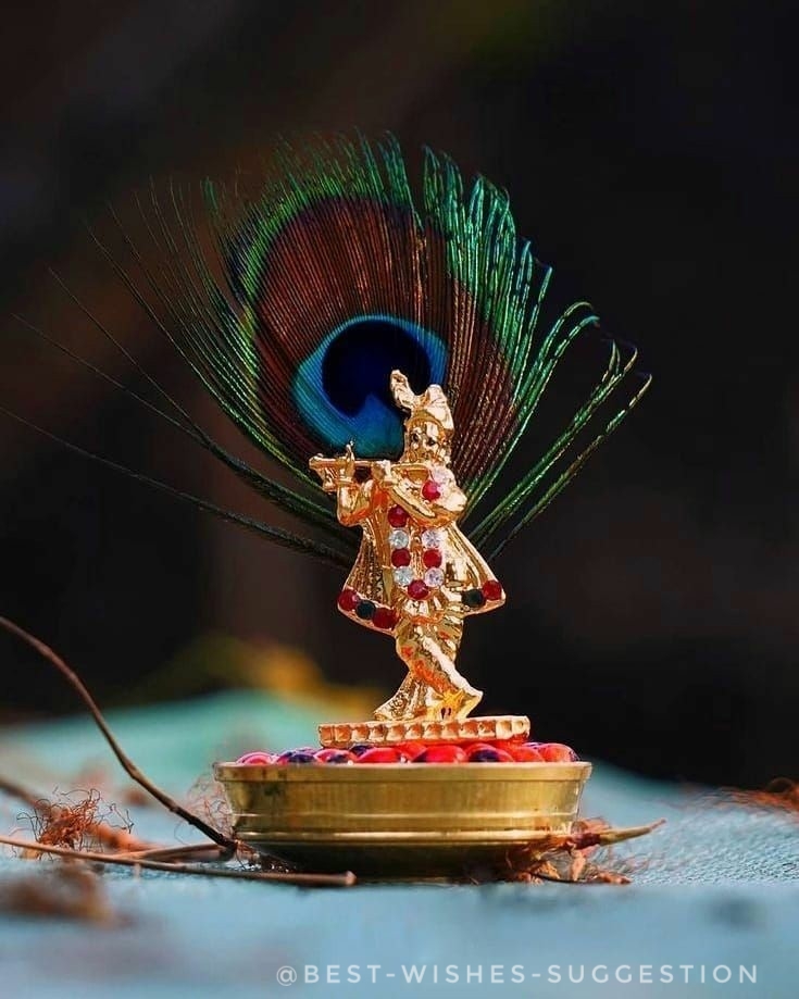 krishna-morpich-image krishna-morpich-image