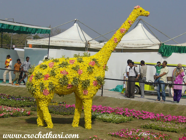 Ahmedabad flower show