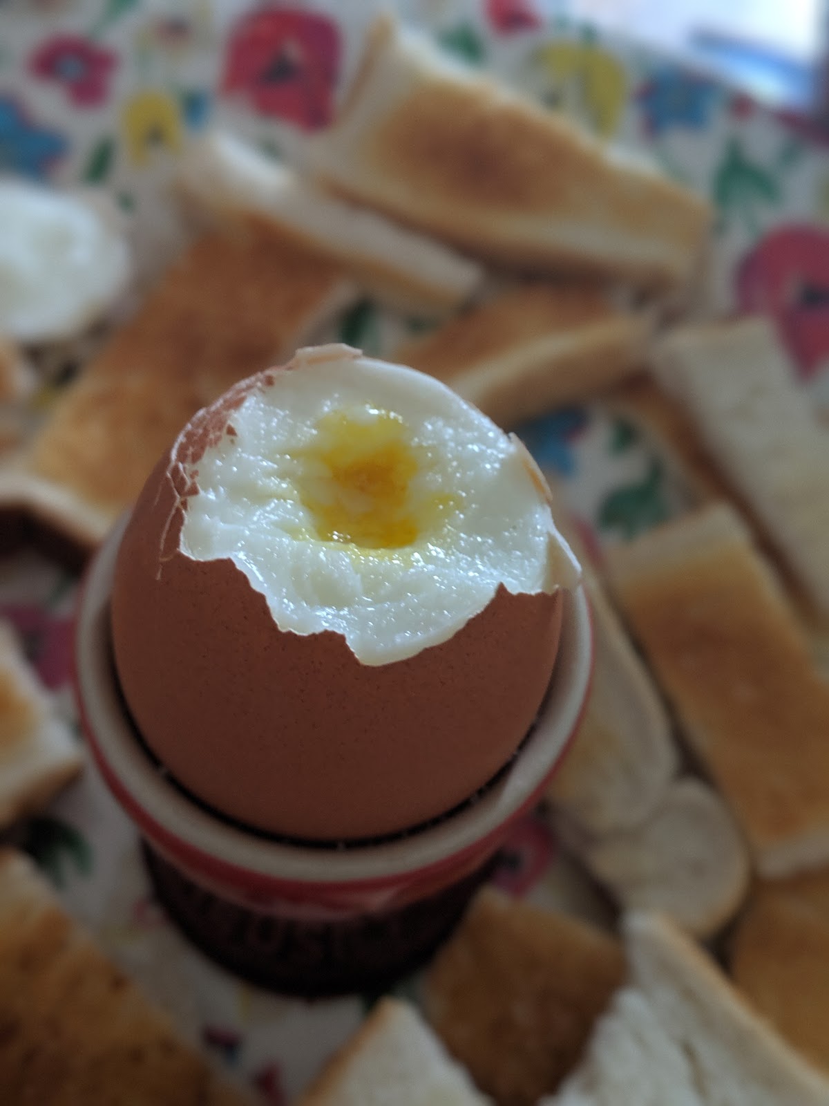 40+ Rainy Day Educational Activities for Kids Aged 9-12 - cook an egg three ways 