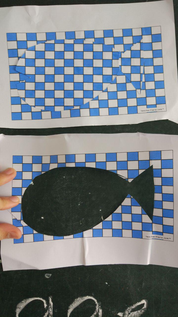 CAMOUFLAGE MAT ACTIVITY YEAR 1 UNIT 3 CAMOUFLAGE