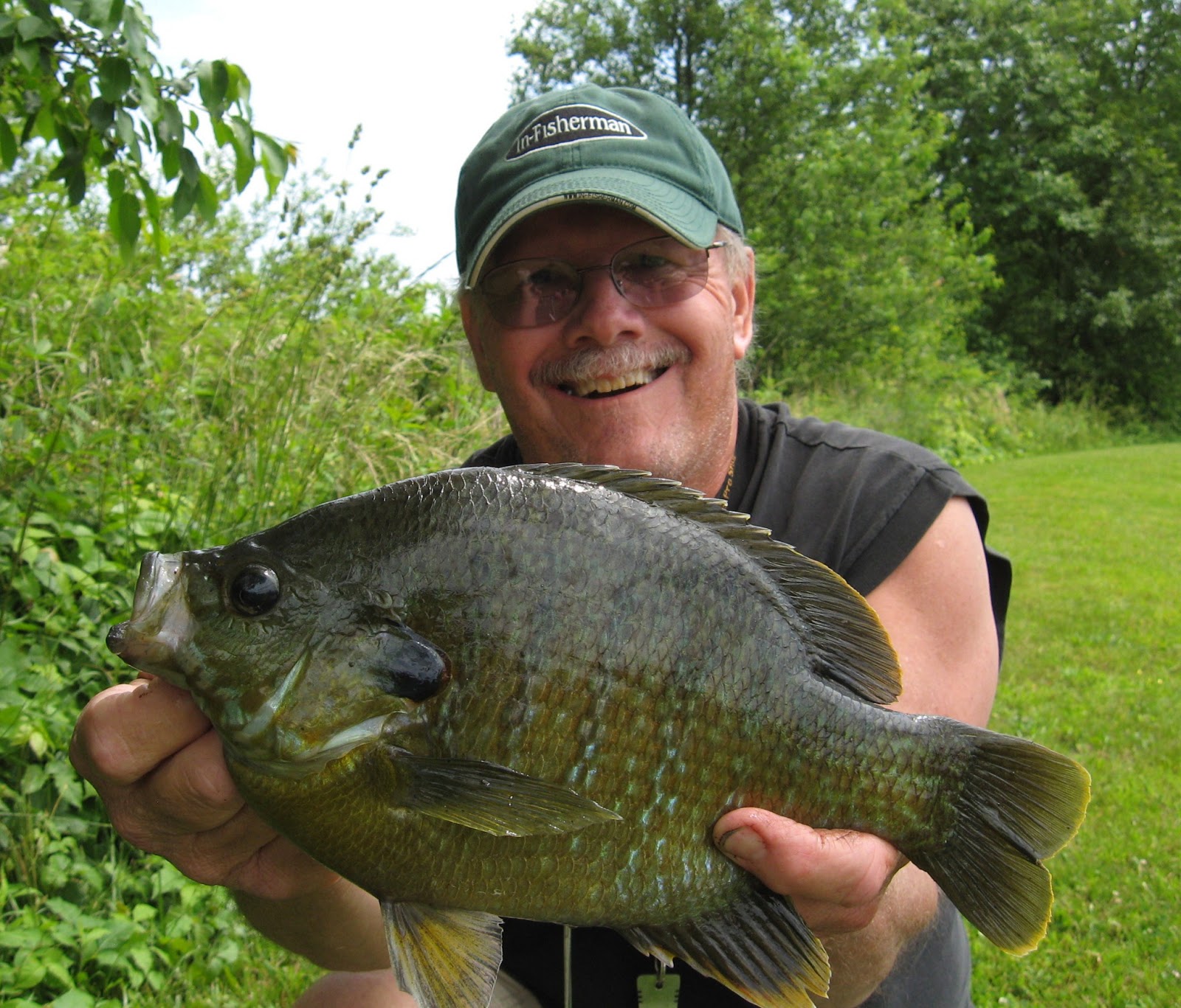 Bluecollar Fishin with Jim: THE QUEST FOR FOOT-LONG SUNFISH