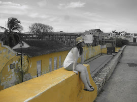 Walled City, Cartagena