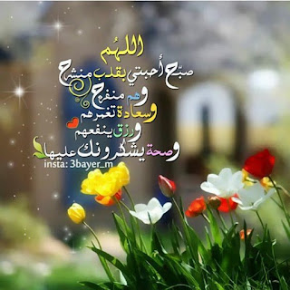 17b83ba4c566e2cb5ff2a92596b8c746