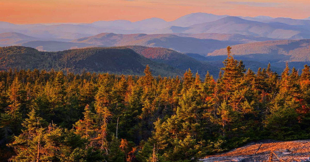 JCXC Mount Cardigan and Firescrew Mountain via West Ridge and South Ridge