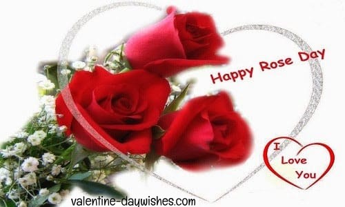 Rose day Images 2020 Rose day Images 2020
