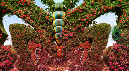 WowEscape Dream Miracle Garden Escape