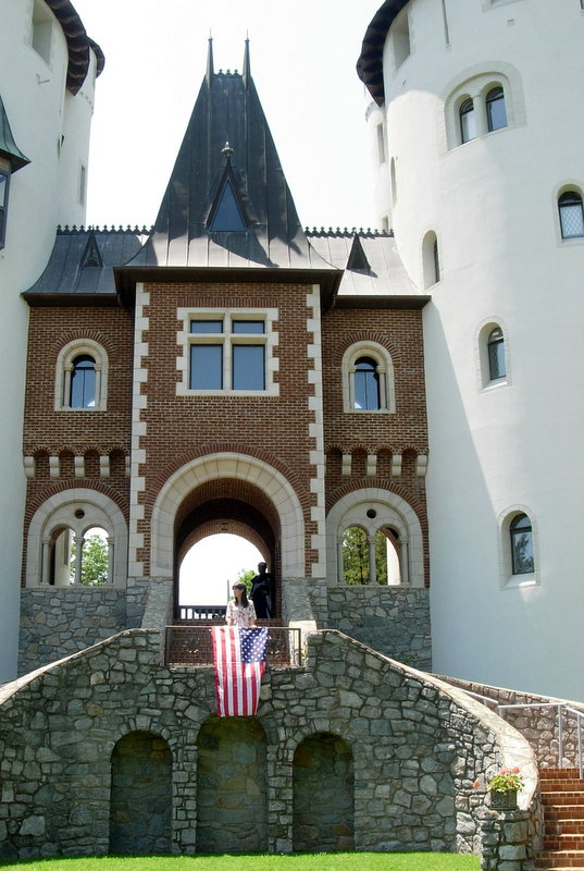 Once Upon A Rose Haven: Once Upon A Castle called Gwynn