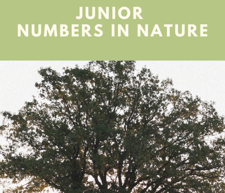 A Girl Scout Leader's Journal New Badge Review Junior Numbers In Nature