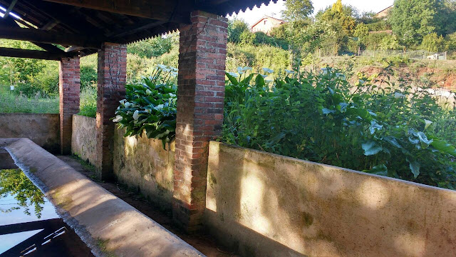 lavadero