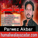 http://www.humaliwalayazadar.com/2017/01/parwez-akbar-nohay-2015-to-2018.html