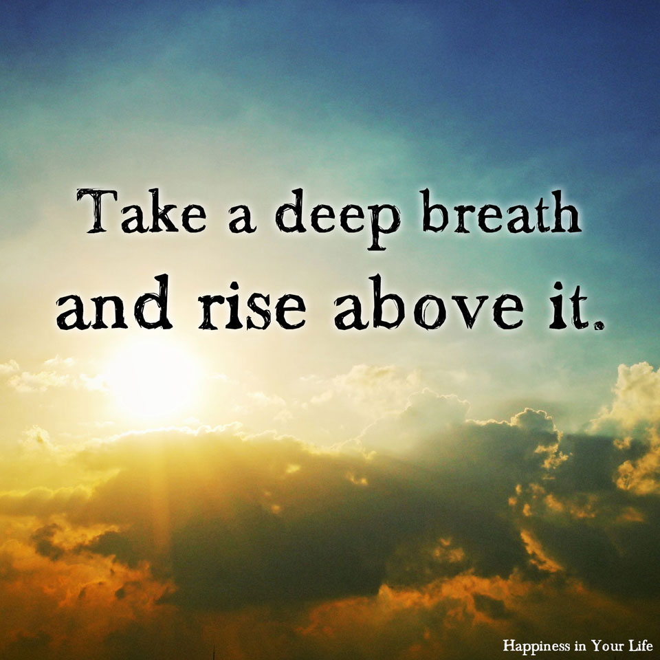 Rise Above