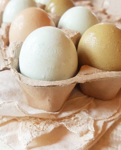 Should You Wash Eggs Before Using Them? Get the Final Answer From