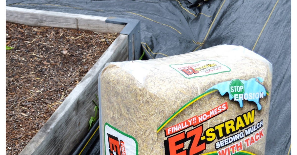 Two Men and a Little Farm STRAW MULCH FOR RAISED BEDS