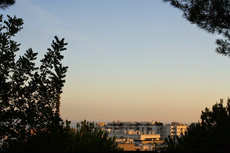 OOTD: Hiking with my doggy and a little of my thoughts