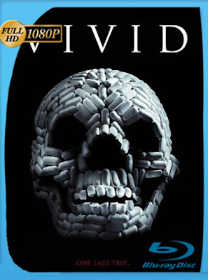 VIViD (2011) HD [1080P] latino [GoogleDrive] DizonHD