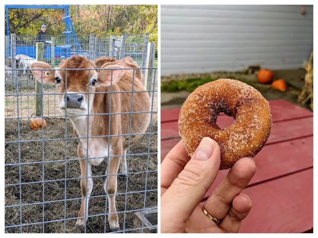 Things to do near Saratoga Springs, NY. Visit Riverview Orchards in the Fall.