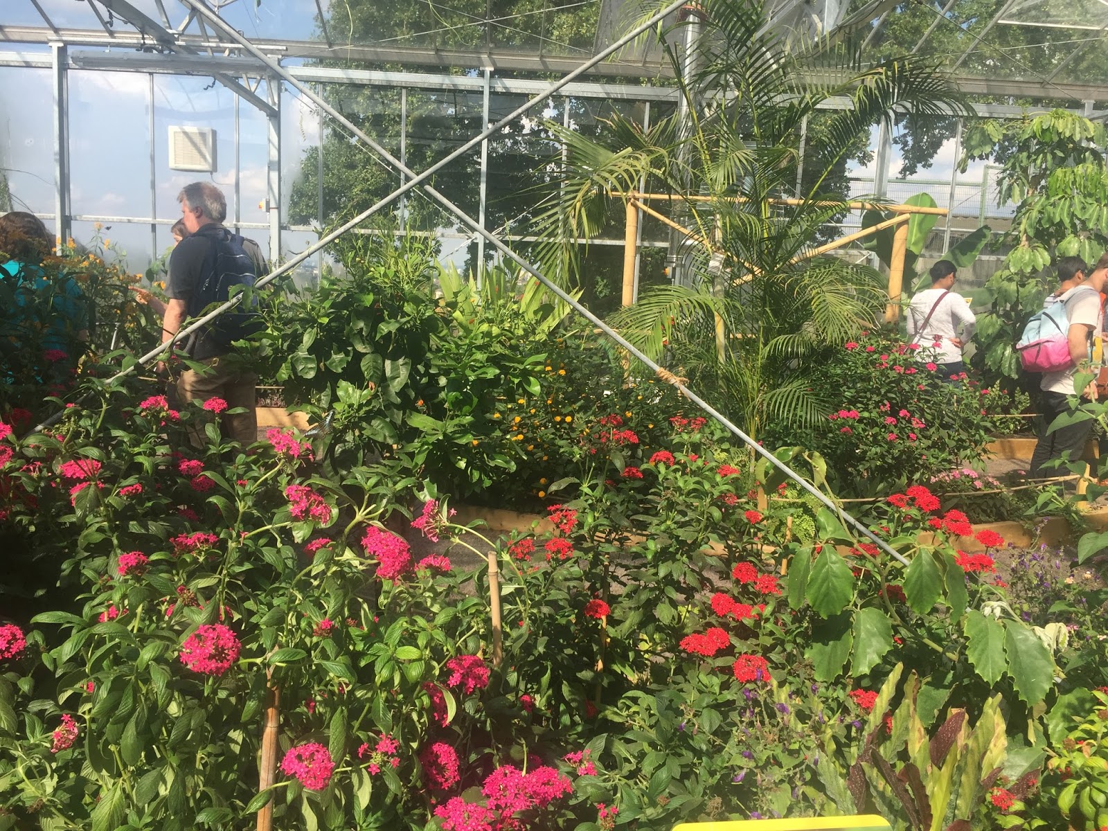 The Horniman Museum Butterfly House The Ark In Space