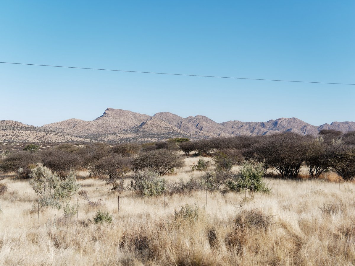Вшестером по Намибии на джипах в пандемию